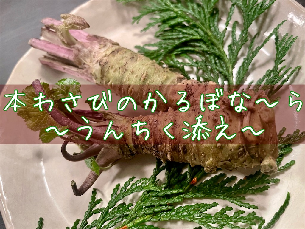 f:id:panage-mid:20240111151428j:image