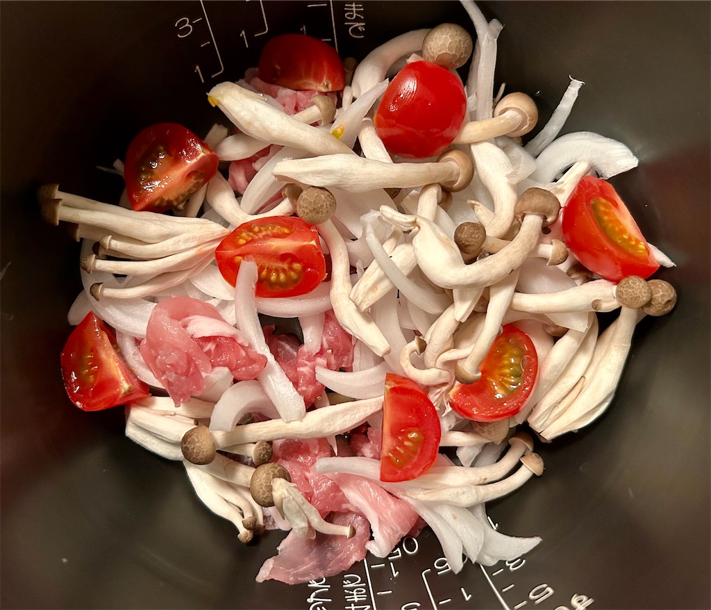 f:id:panage-mid:20240116040605j:image