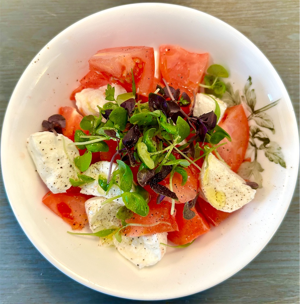 f:id:panage-mid:20240213195848j:image