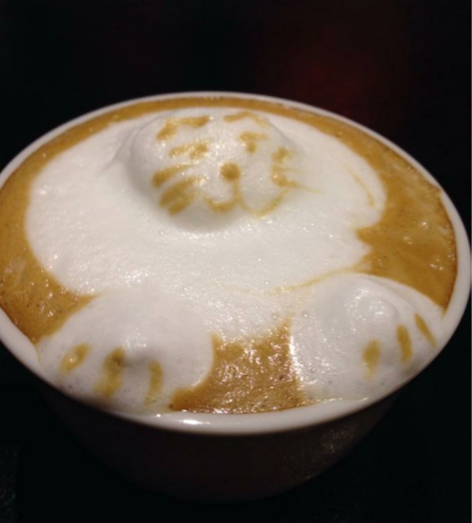 f:id:panage-mid:20250115071649j:image