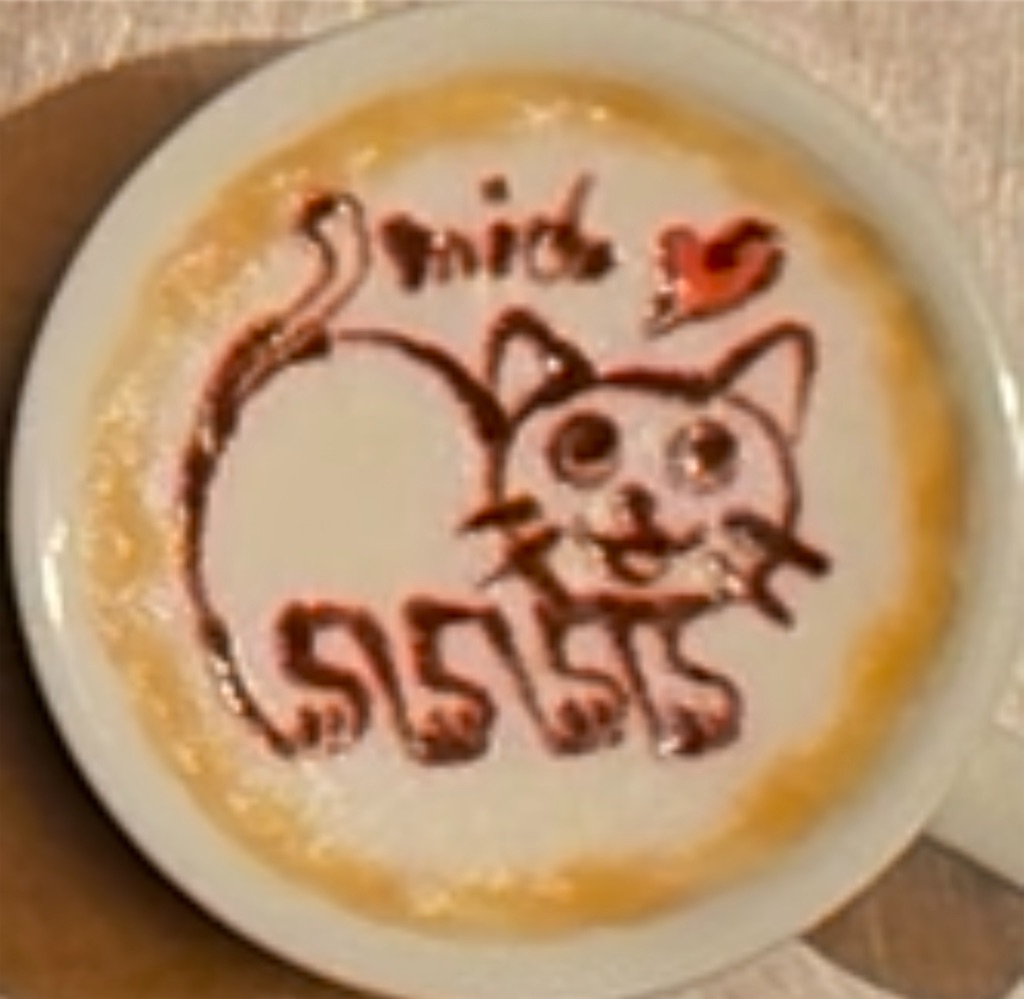 f:id:panage-mid:20250404220452j:image