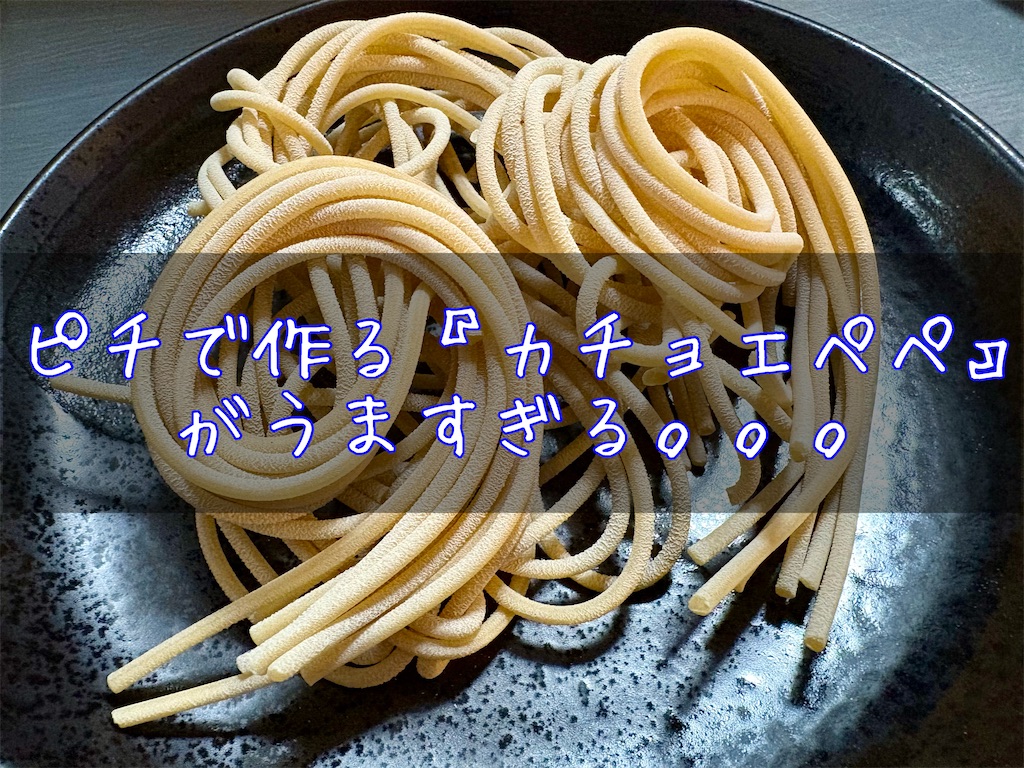 f:id:panage-mid:20250407193633j:image