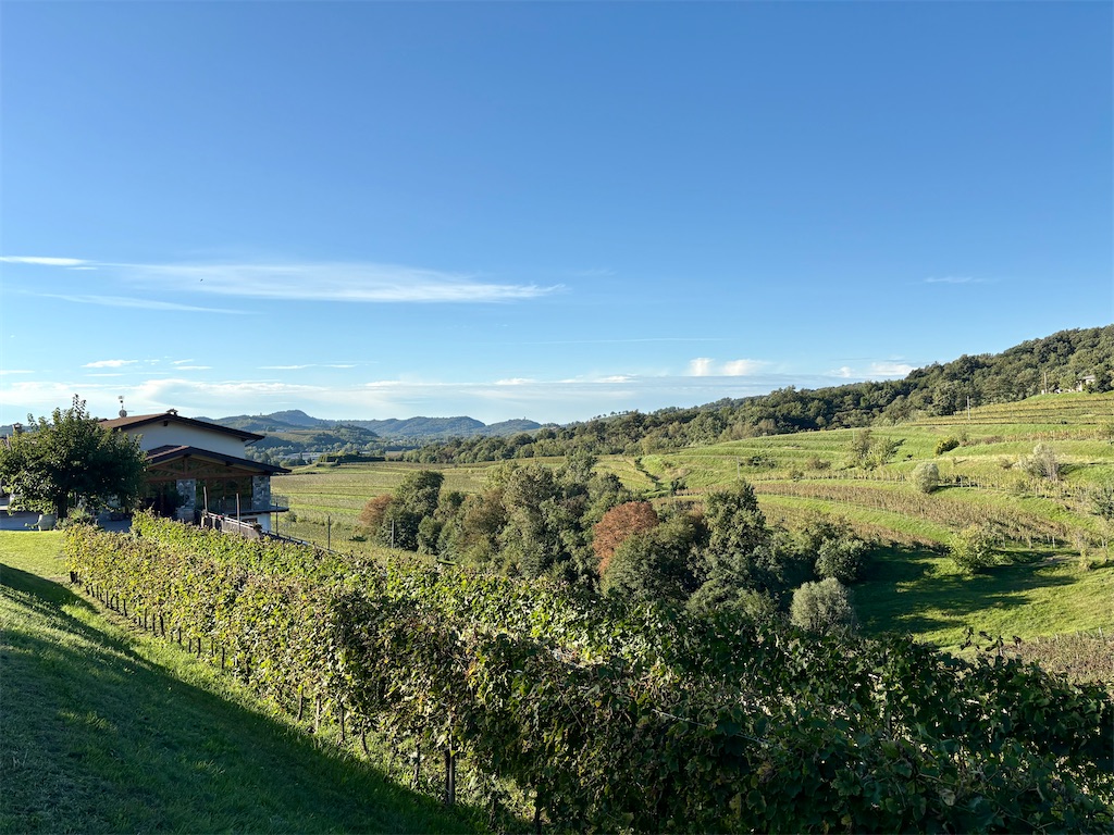 f:id:panage-mid:20251117184415j:image