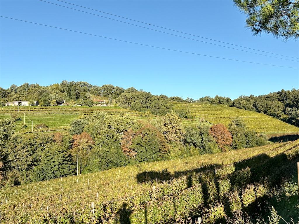 f:id:panage-mid:20251117184438j:image