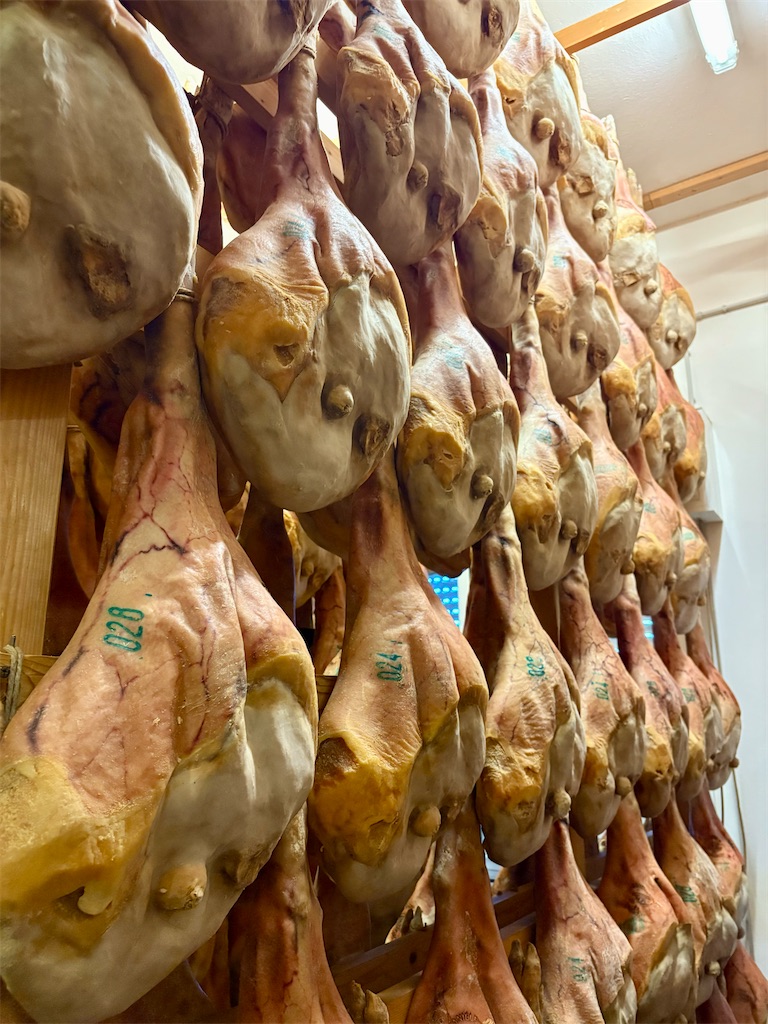 f:id:panage-mid:20251117190954j:image