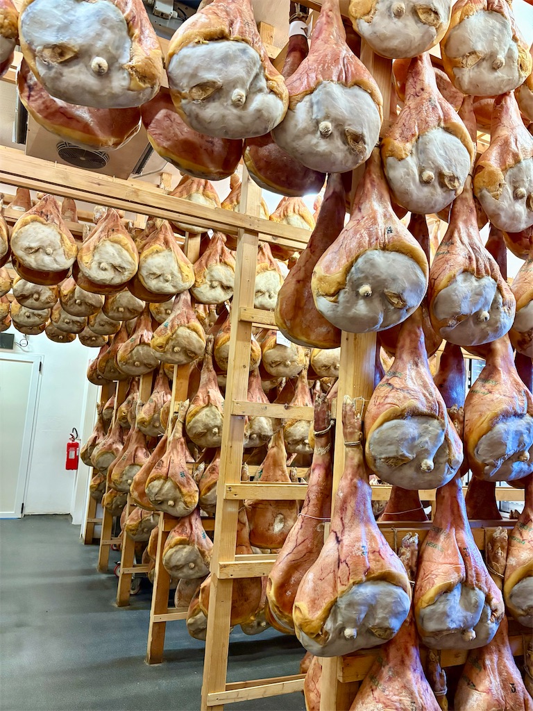 f:id:panage-mid:20251117191002j:image