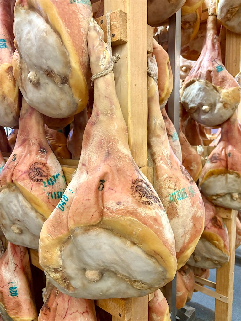 f:id:panage-mid:20251117191006j:image