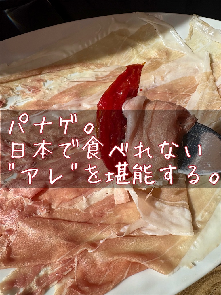 f:id:panage-mid:20251117193046j:image