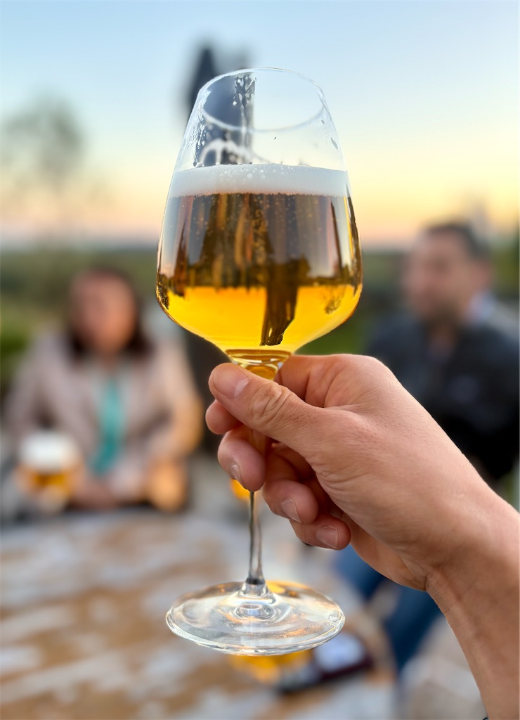 f:id:panage-mid:20251119225317j:image