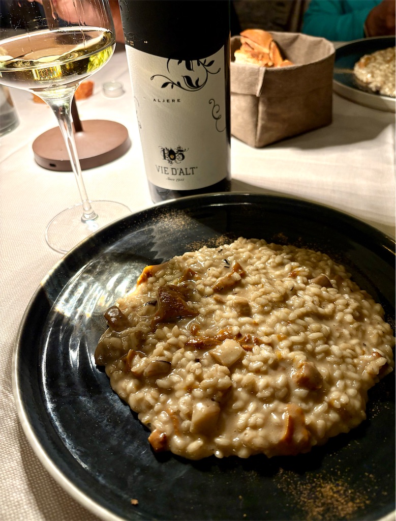 f:id:panage-mid:20251119230246j:image