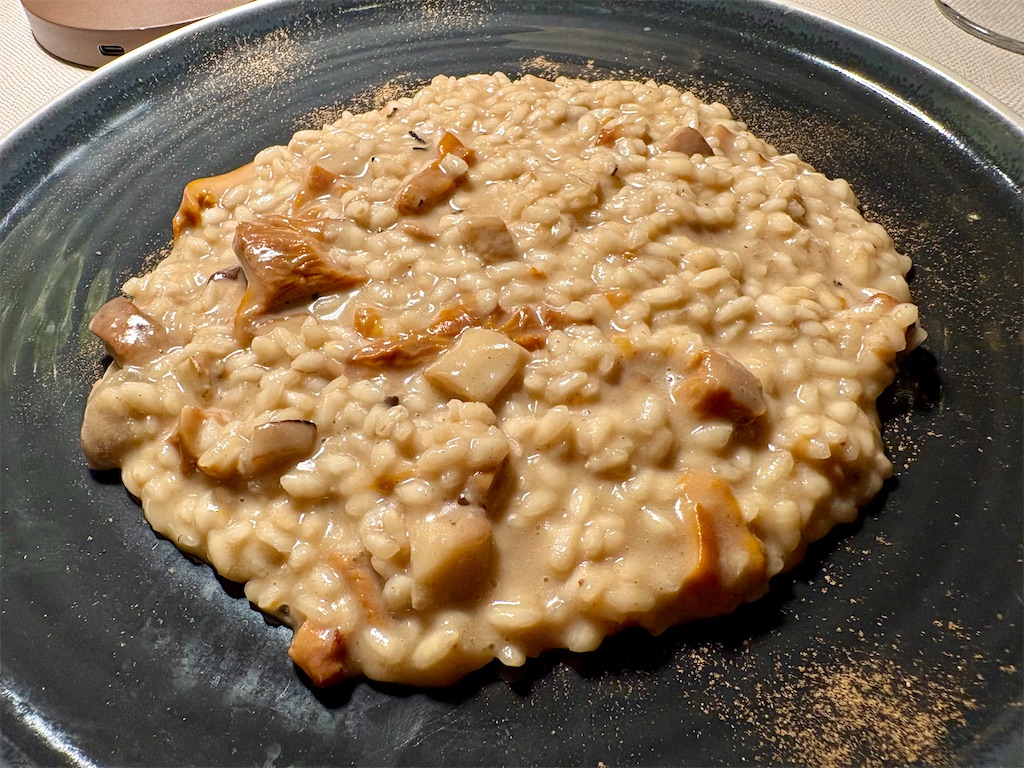 f:id:panage-mid:20251119230309j:image