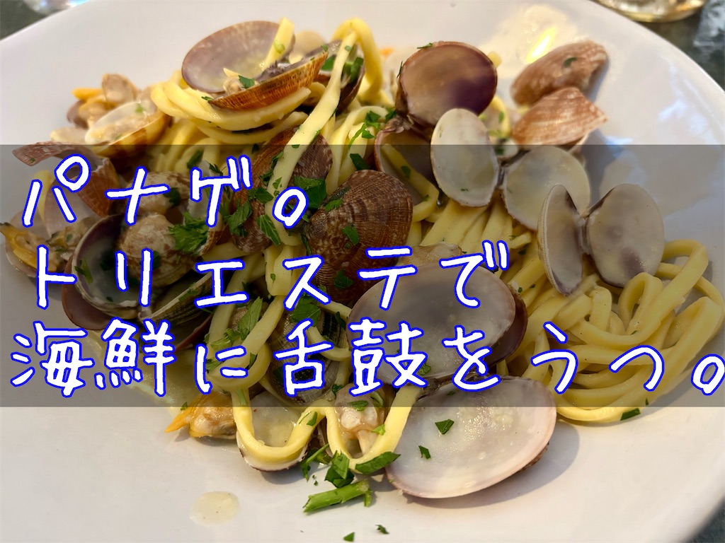 f:id:panage-mid:20251120232245j:image