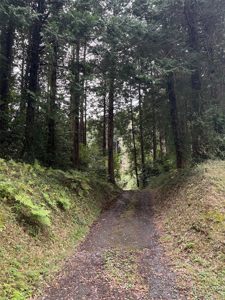 f:id:panage-mid:20251125233033j:image