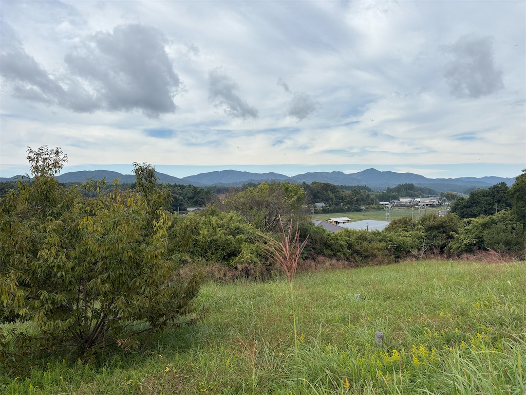 f:id:panage-mid:20251125233037j:image