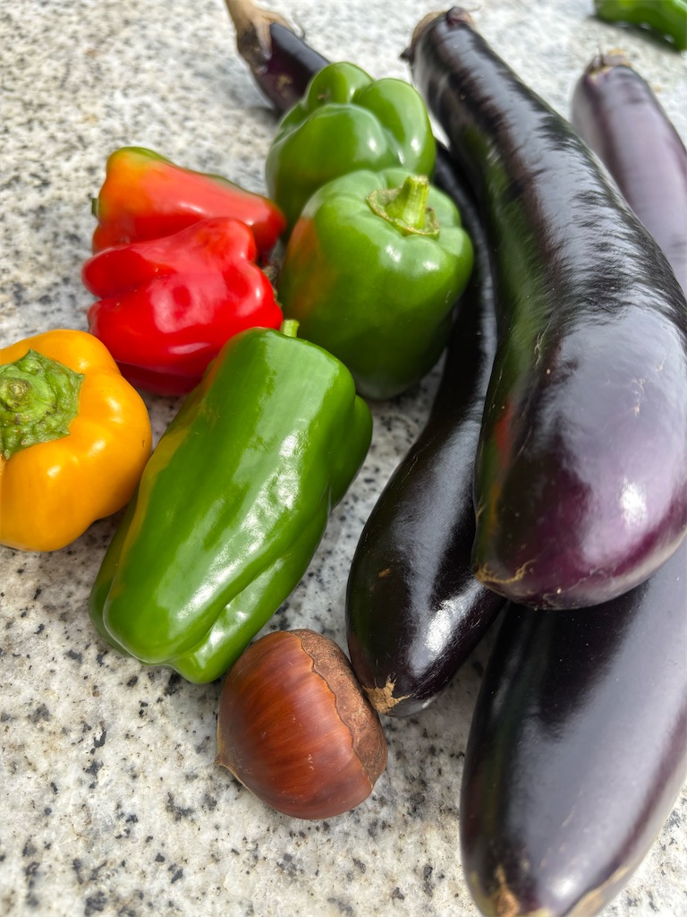 f:id:panage-mid:20251125233212j:image