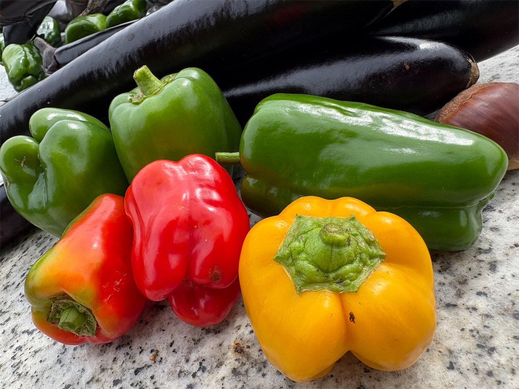 f:id:panage-mid:20251125233216j:image