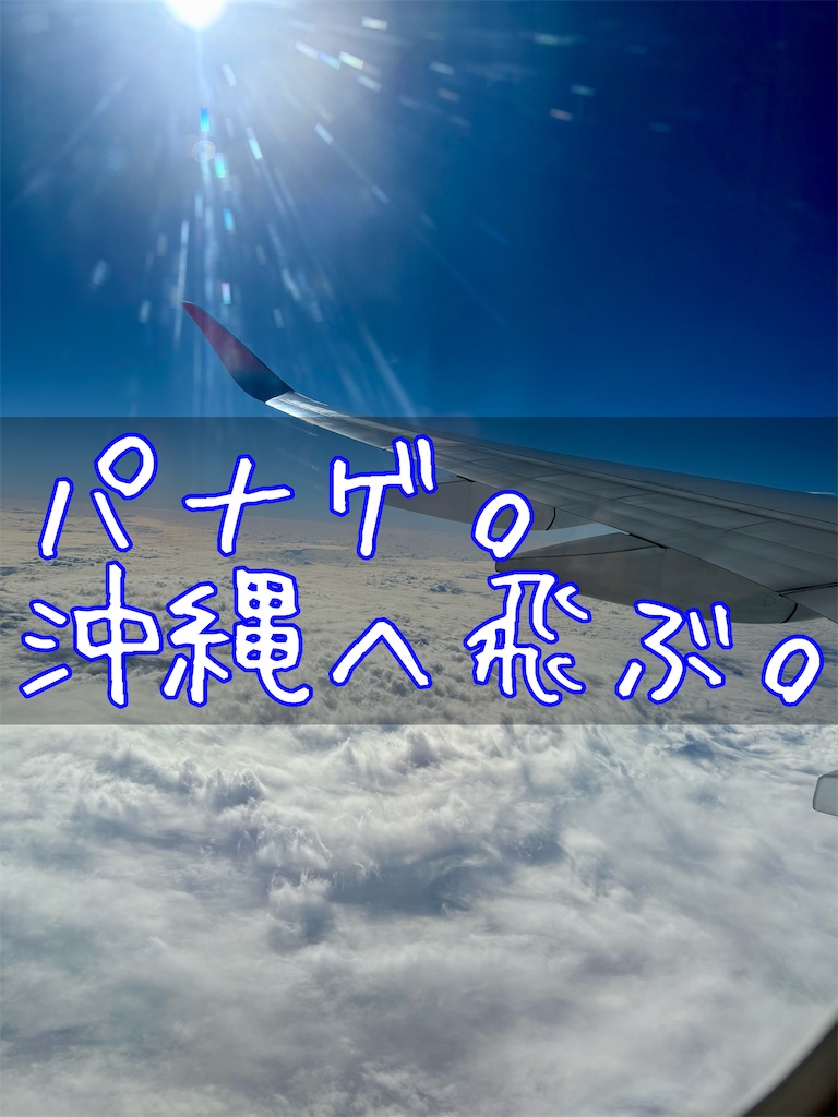 f:id:panage-mid:20251202193607j:image