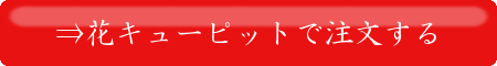 f:id:panai2016:20170221163519g:plain f:id:panai2016:20170221163519g:plain