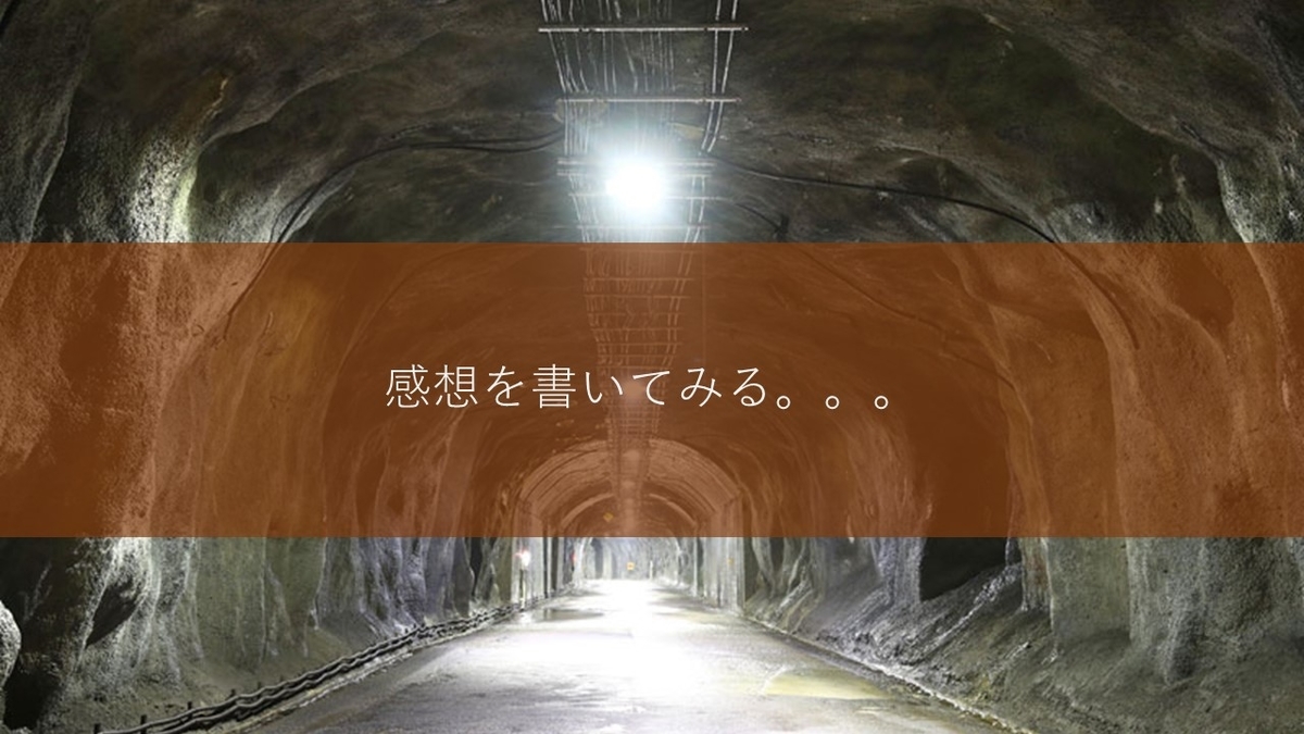 f:id:panboku409:20210121193916j:plain