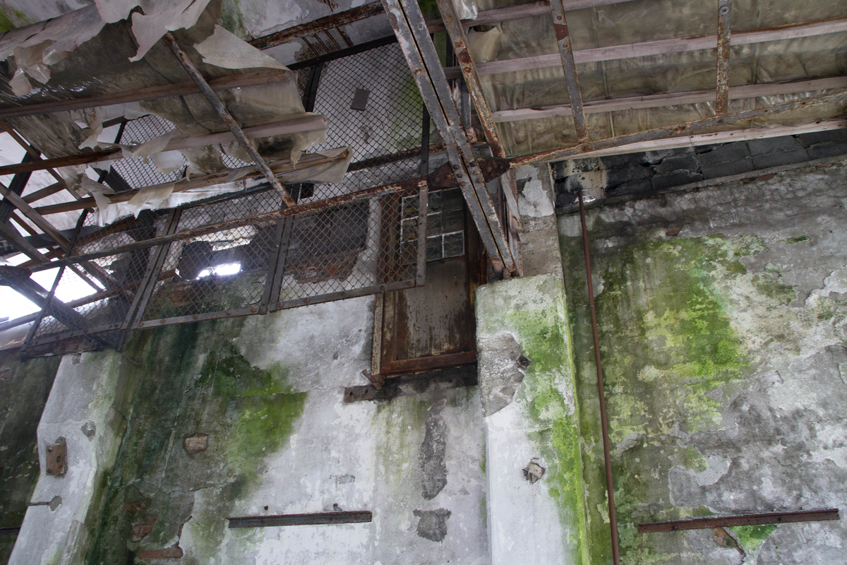 f:id:pancake_MP:20190827121946j:plain f:id:pancake_MP:20190827121946j:plain