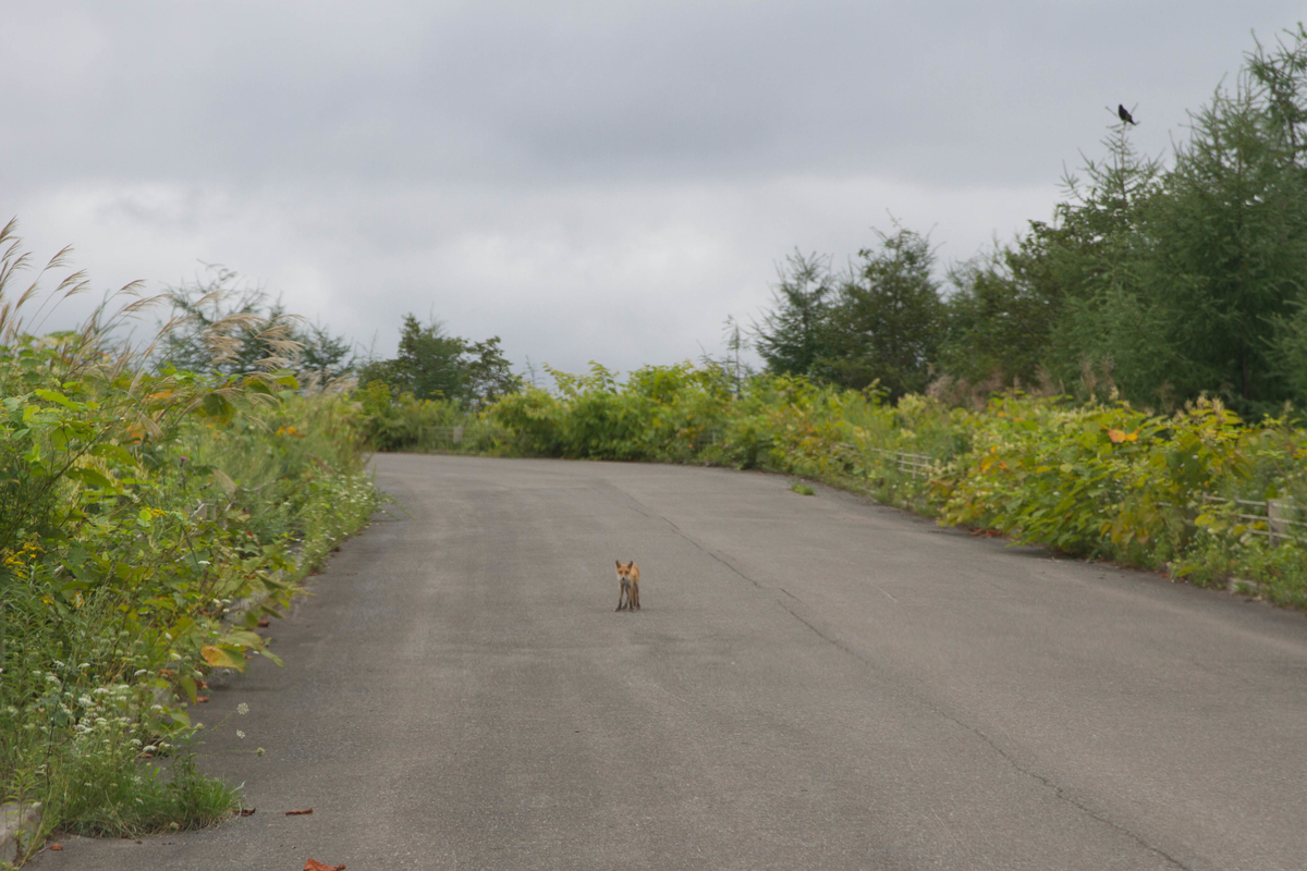 f:id:pancake_MP:20190827222623j:plain f:id:pancake_MP:20190827222623j:plain