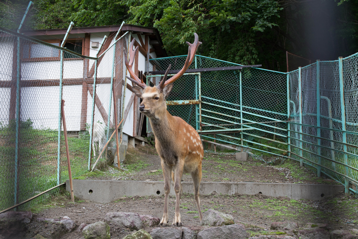 f:id:pancake_MP:20190827235922j:plain f:id:pancake_MP:20190827235922j:plain