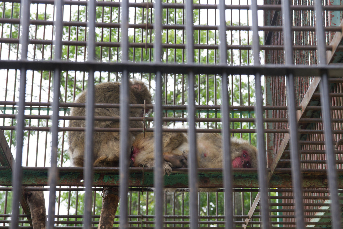 f:id:pancake_MP:20190828000016j:plain f:id:pancake_MP:20190828000016j:plain