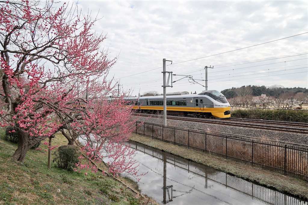 f:id:pancake_MP:20250303104214j:image