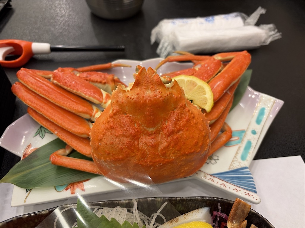f:id:pancake_MP:20251231101115j:image