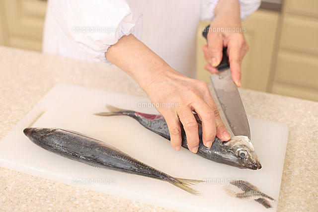 f:id:panchip:20191210175717j:plain