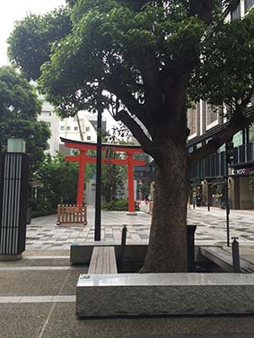 f:id:pancia:20160508102638j:plain f:id:pancia:20160508102638j:plain