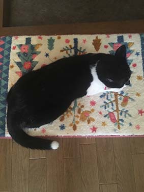 f:id:pancia:20161017163340j:plain