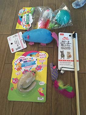 f:id:pancia:20161018115317j:plain