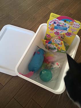 f:id:pancia:20161018115526j:plain