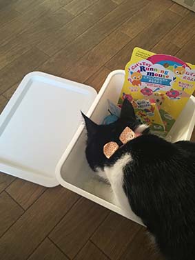 f:id:pancia:20161018115540j:plain