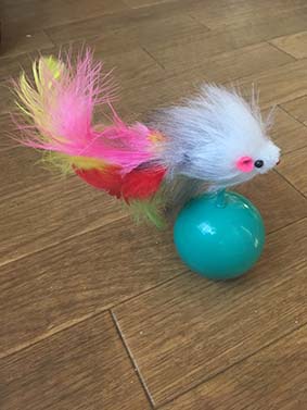 f:id:pancia:20161018120145j:plain