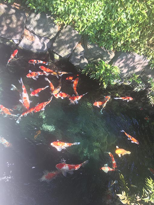 f:id:pancia:20170520135926j:plain