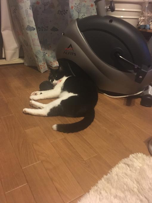 f:id:pancia:20170520150541j:plain