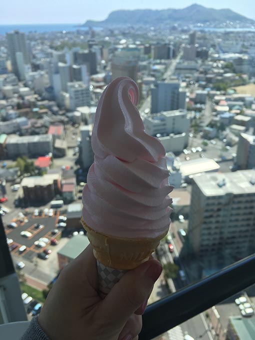 f:id:pancia:20170526183921j:plain