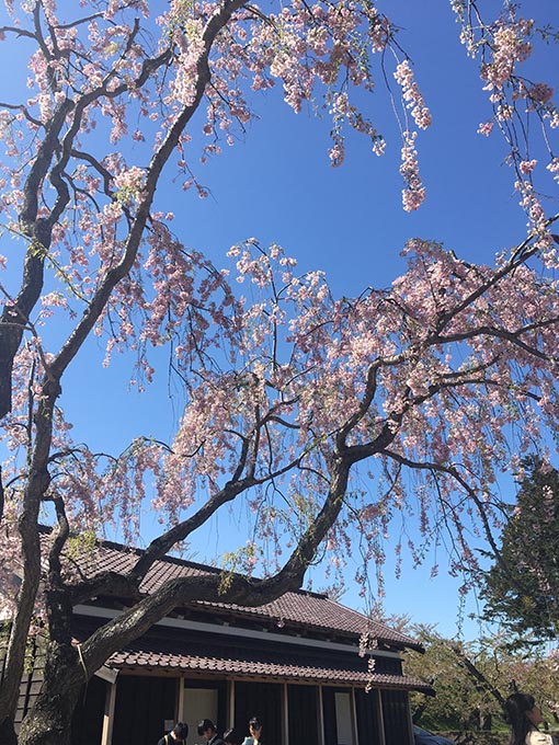 f:id:pancia:20170526184530j:plain