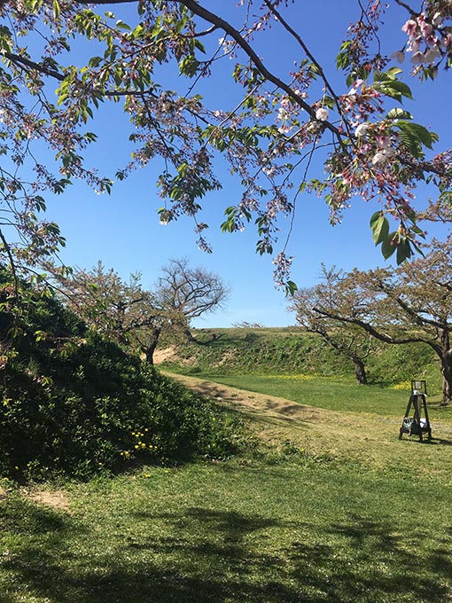 f:id:pancia:20170526184816j:plain