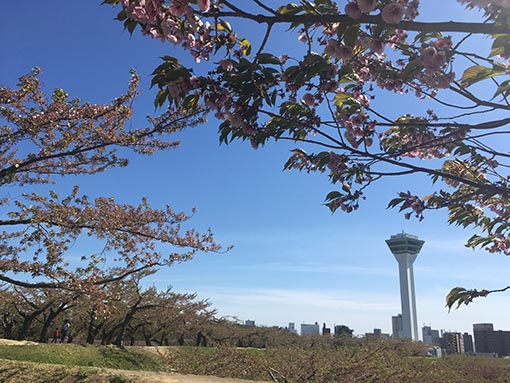 f:id:pancia:20170526184853j:plain