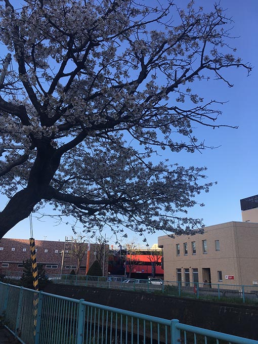 f:id:pancia:20170528155718j:plain