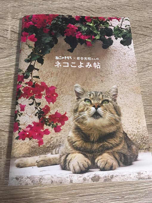 f:id:pancia:20180321154402j:plain f:id:pancia:20180321154402j:plain