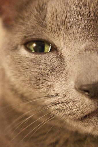 f:id:pancia:20180609125922j:plain