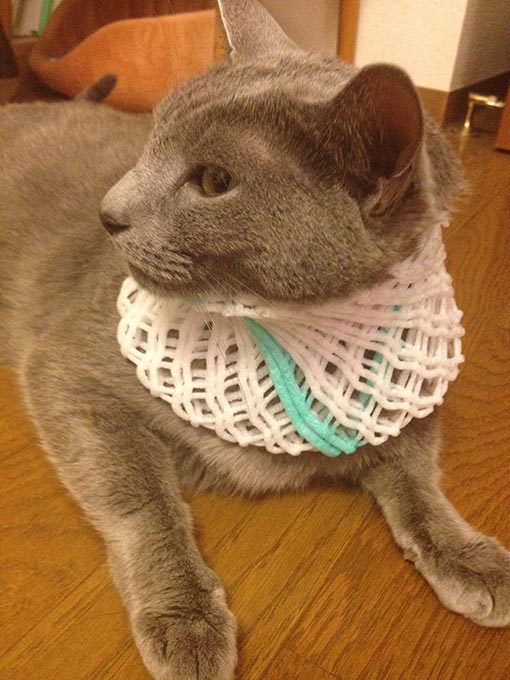 f:id:pancia:20180609135802j:plain