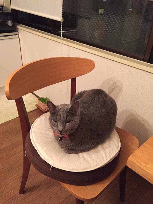 f:id:pancia:20180609140540j:plain