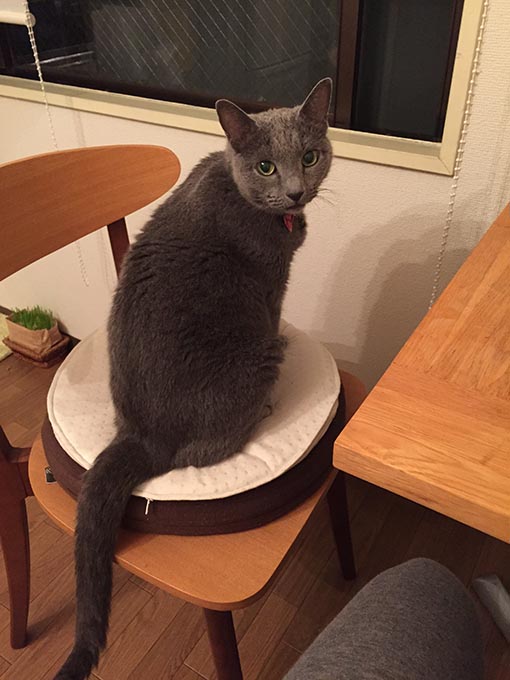 f:id:pancia:20180609140558j:plain