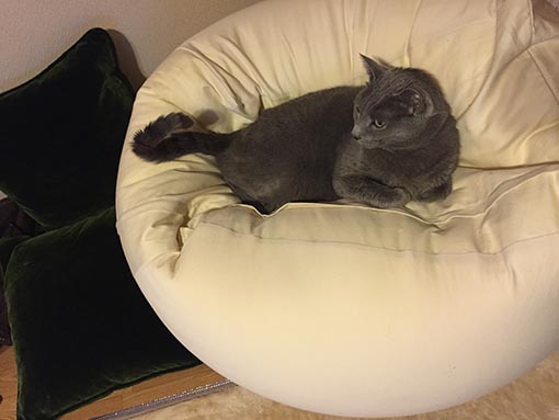 f:id:pancia:20180609140756j:plain