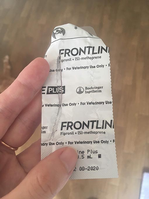 f:id:pancia:20180705170035j:plain